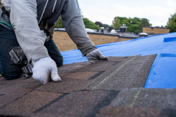 Gutter Installation and Roofing in Altamont, IL